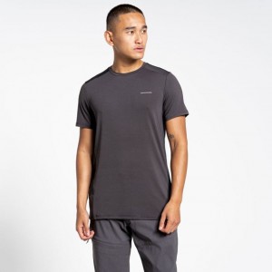 Craghoppers Atmos Kort Sleeve T-skjorte Herre Svarte | 6195XRJBN