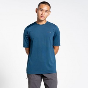 Craghoppers Belardo Kort Sleeve T-skjorte Herre Marineblå | 7021VYSFI