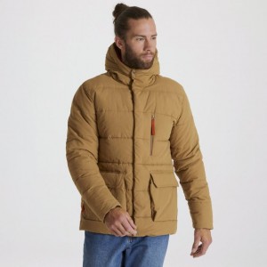 Craghoppers Cromarty Isolerte Jakker Herre Khaki | 6214YAPXV