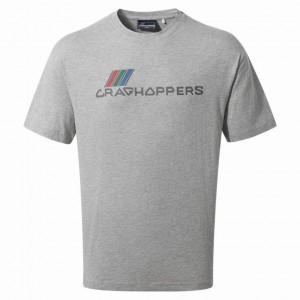 Craghoppers Crosby Kort Sleeve T-skjorte Dame Grå | 2347JAGCX