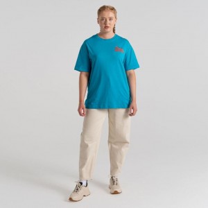 Craghoppers Crosby Kort Sleeve T-skjorte Dame Blå | 2387NLFYH