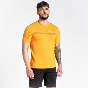 Craghoppers Dynamic Kort Sleeve T-skjorte Herre Gul | 2648SPKAC