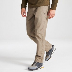 Craghoppers Kiwi Boulder Bukse Herre Khaki | 3501EDSHC