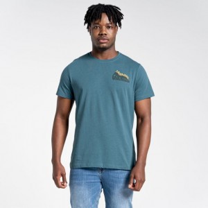 Craghoppers Lugo Kort Sleeve T-skjorte Herre Turkis | 6853AEZUX