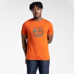 Craghoppers Lugo Kort Sleeve T-skjorte Herre Oransje | 5683MTQUS