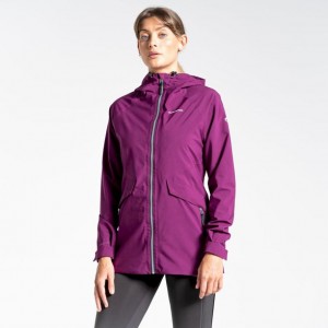 Craghoppers Minola Gore Tex Jakke Dame Lilla | 5096YBTCV