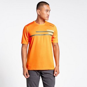 Craghoppers NosiLife Pro Active Kort Sleeve T-skjorte Herre Oransje | 2860ZOWDQ