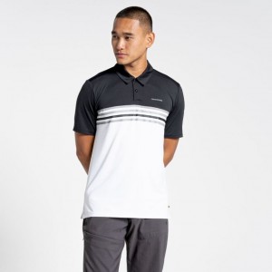 Craghoppers NosiLife Pro Kort Sleeve Polo T-skjorte Herre Svarte Hvite | 2378ILPYN