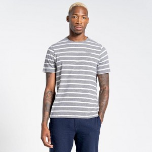 Craghoppers Nosibotanical Sten Kort Sleeve T-skjorte Herre Marineblå | 7013QICNU