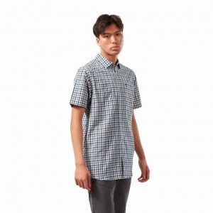 Craghoppers Nour Kort Sleeve Check Skjorte Herre Marineblå | 6019ULWZK