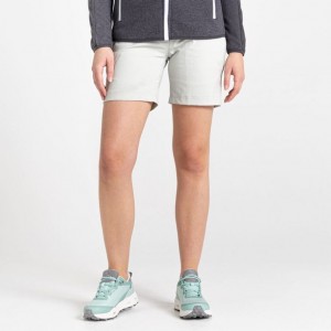 Craghoppers Stretch Kiwi Pro III Shorts Dame Grå | 3240BDHXI