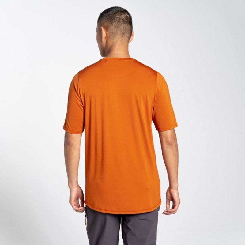 Craghoppers Belardo Kort Sleeve T-skjorte Herre Oransje | 3428MDNUB