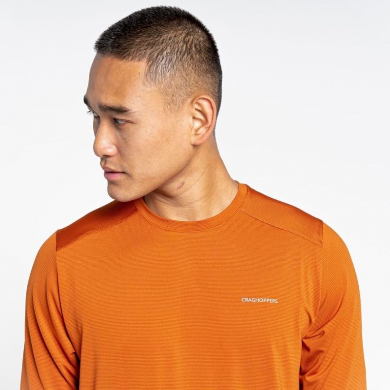 Craghoppers Belardo Kort Sleeve T-skjorte Herre Oransje | 3428MDNUB