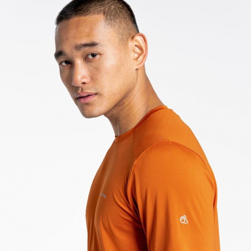 Craghoppers Belardo Kort Sleeve T-skjorte Herre Oransje | 3428MDNUB