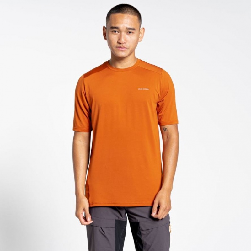 Craghoppers Belardo Kort Sleeve T-skjorte Herre Oransje | 3428MDNUB