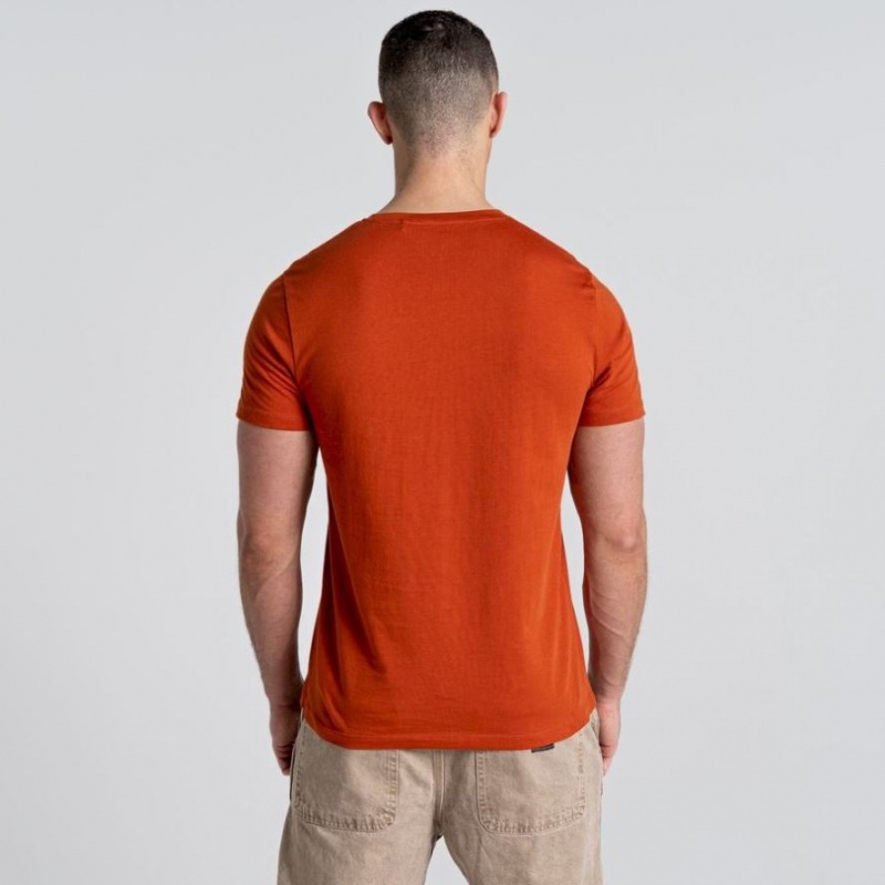 Craghoppers Caldo Kort Sleeve T-skjorte Herre Oransje | 2960ZNPRQ