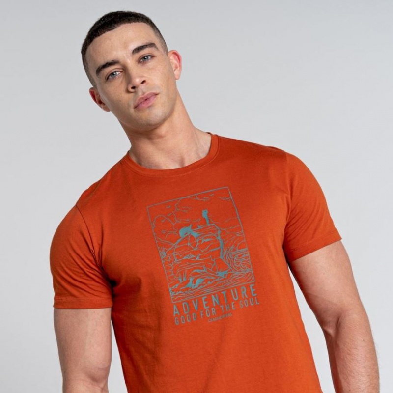 Craghoppers Caldo Kort Sleeve T-skjorte Herre Oransje | 2960ZNPRQ