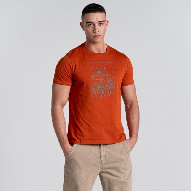 Craghoppers Caldo Kort Sleeve T-skjorte Herre Oransje | 2960ZNPRQ