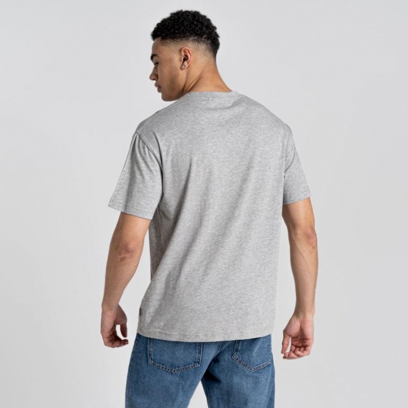 Craghoppers Crosby Kort Sleeve T-skjorte Herre Grå | 7543RIJKX