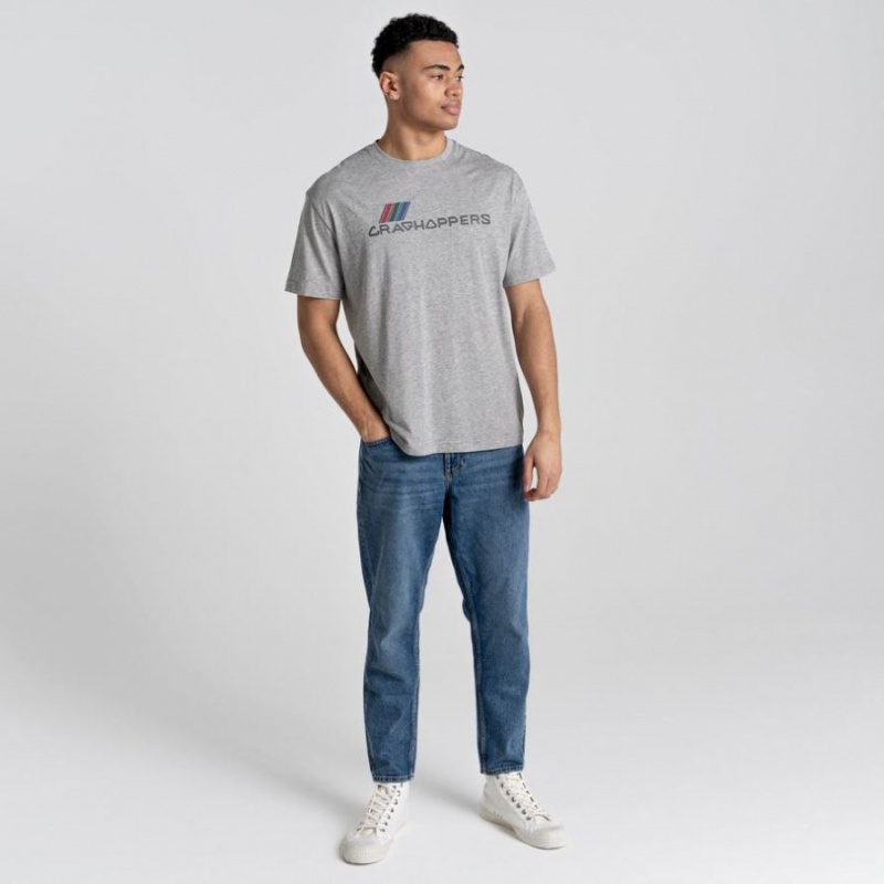 Craghoppers Crosby Kort Sleeve T-skjorte Herre Grå | 7543RIJKX