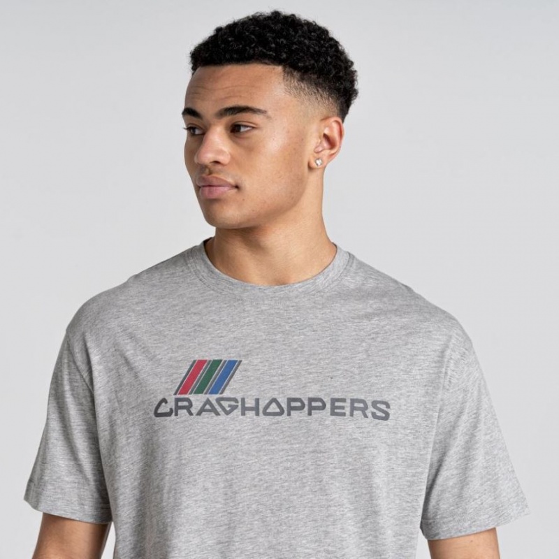 Craghoppers Crosby Kort Sleeve T-skjorte Herre Grå | 7543RIJKX