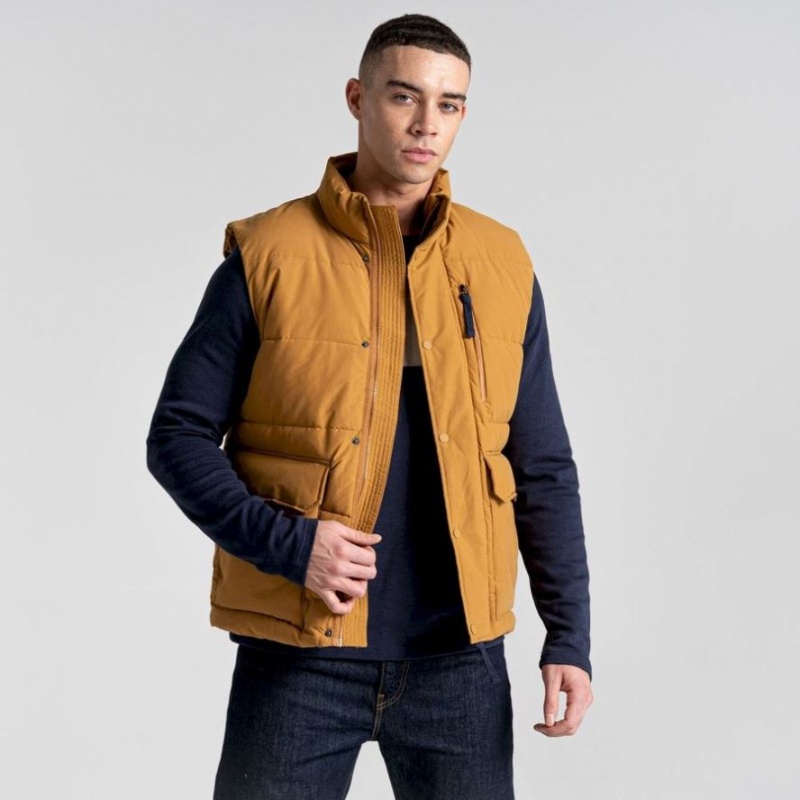 Craghoppers Dunbeath Vest Herre Brune | 6970OZAGR