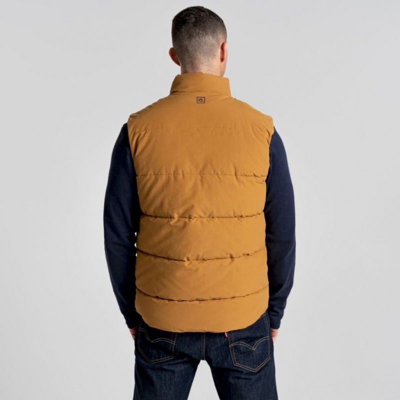 Craghoppers Dunbeath Vest Herre Brune | 6970OZAGR