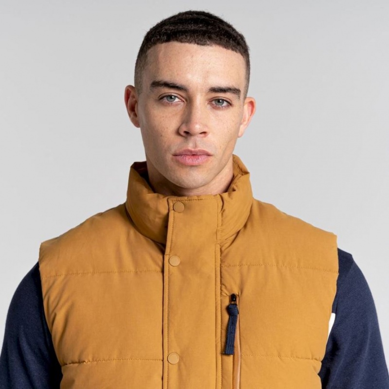 Craghoppers Dunbeath Vest Herre Brune | 6970OZAGR