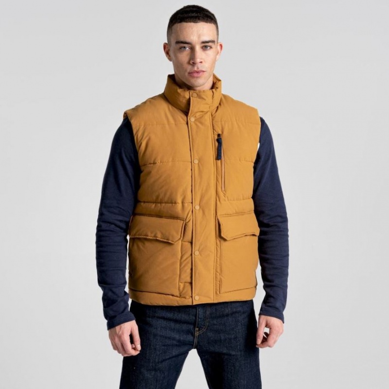 Craghoppers Dunbeath Vest Herre Brune | 6970OZAGR