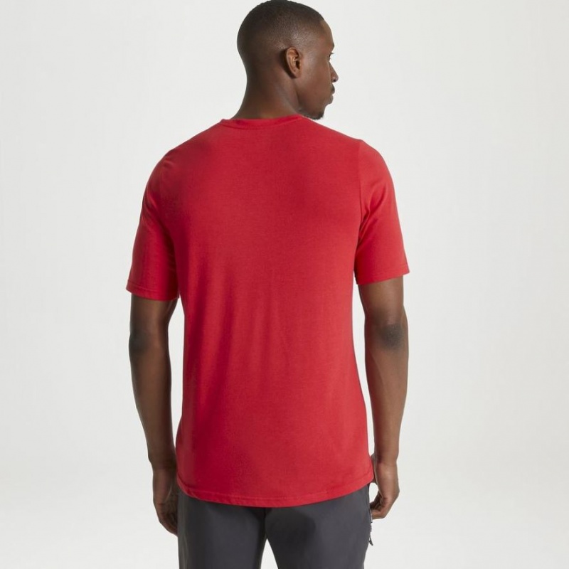 Craghoppers Dynamic Kort Sleeve Sriracha Red T-skjorte Herre Rød | 2460CNBXI