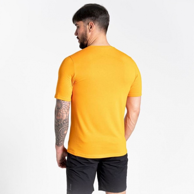 Craghoppers Dynamic Kort Sleeve T-skjorte Herre Gul | 2648SPKAC