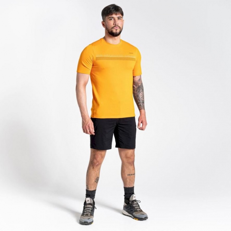 Craghoppers Dynamic Kort Sleeve T-skjorte Herre Gul | 2648SPKAC