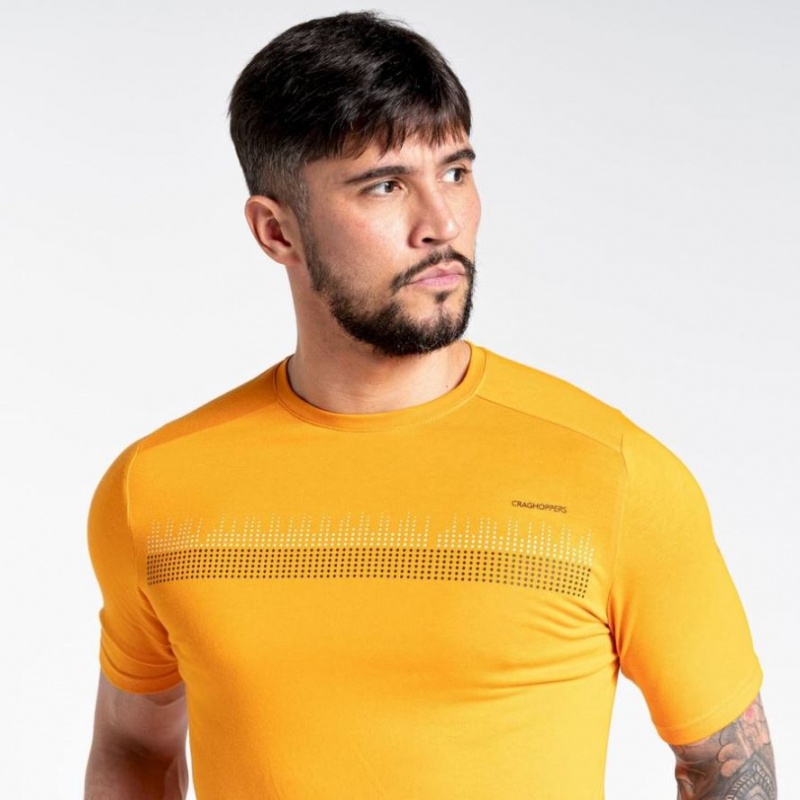 Craghoppers Dynamic Kort Sleeve T-skjorte Herre Gul | 2648SPKAC