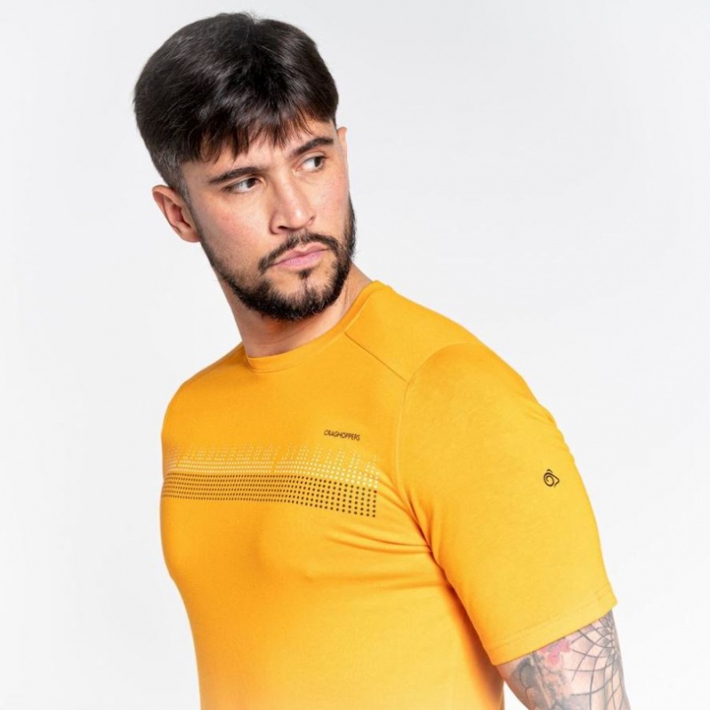 Craghoppers Dynamic Kort Sleeve T-skjorte Herre Gul | 2648SPKAC