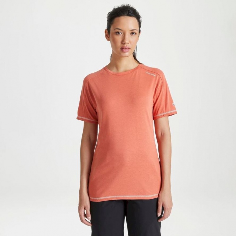 Craghoppers Dynamic Kort Sleeve Warm Ginger T-skjorte Dame Oransje | 1394XDEUV