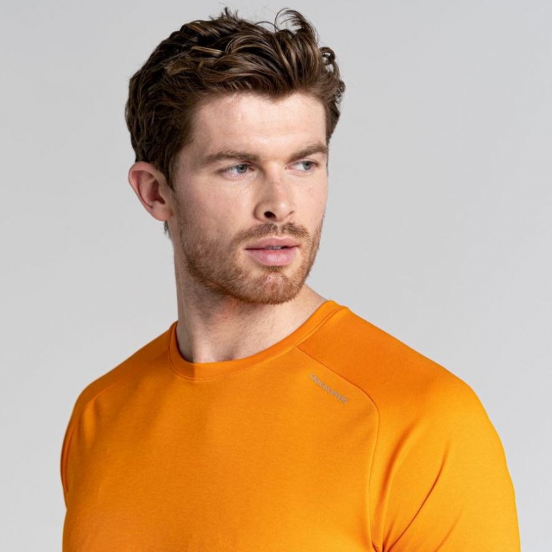 Craghoppers Dynamic Pro Kort Sleeve T-skjorte Herre Oransje | 3147WTXGD