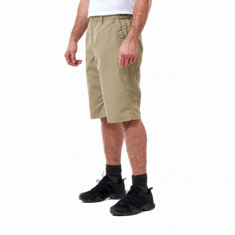 Craghoppers Kiwi Long Shorts Herre Khaki | 8104PGMYR