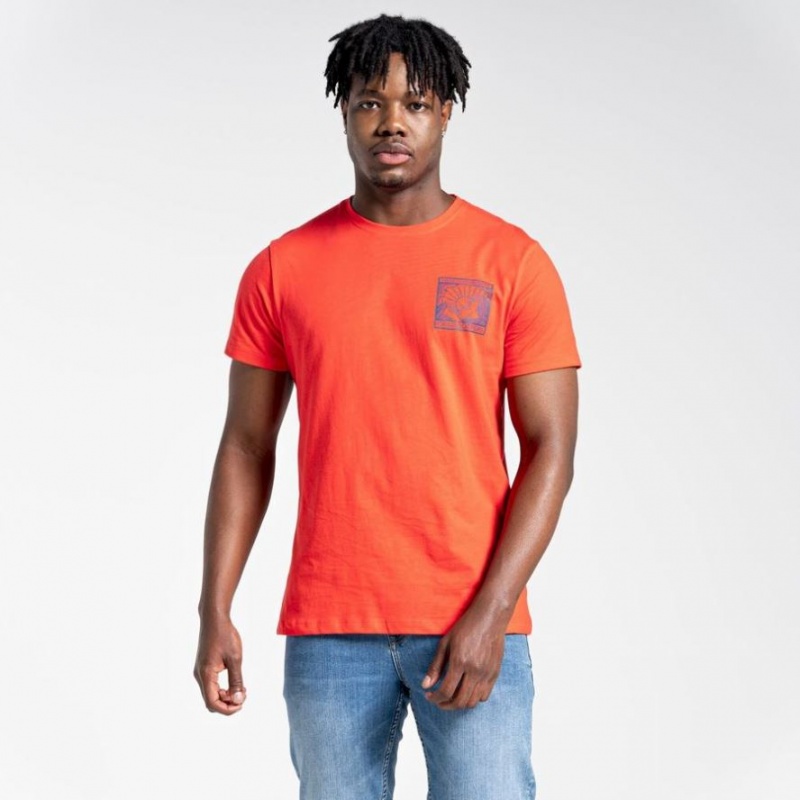 Craghoppers Lugo Kort Sleeve T-skjorte Herre Oransje | 8390IBQOD