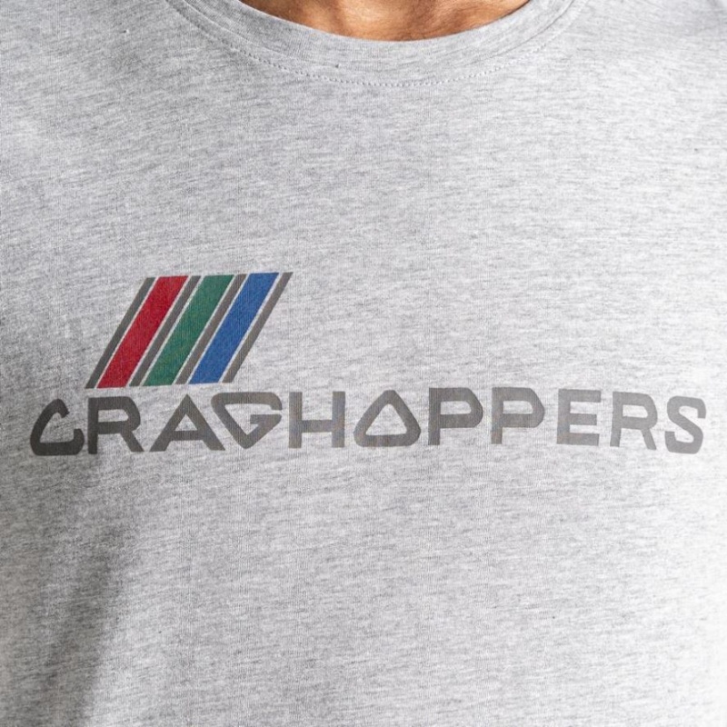 Craghoppers Lugo Kort Sleeve T-skjorte Herre Grå | 0491MTKXQ