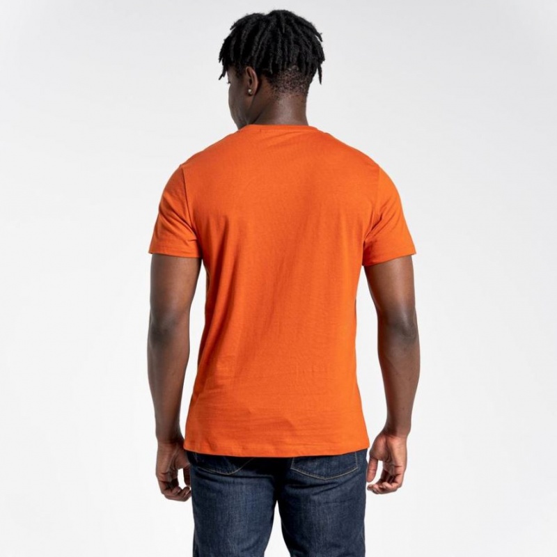 Craghoppers Lugo Kort Sleeve T-skjorte Herre Oransje | 5683MTQUS