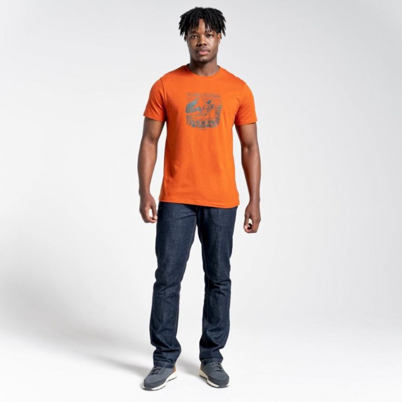 Craghoppers Lugo Kort Sleeve T-skjorte Herre Oransje | 5683MTQUS