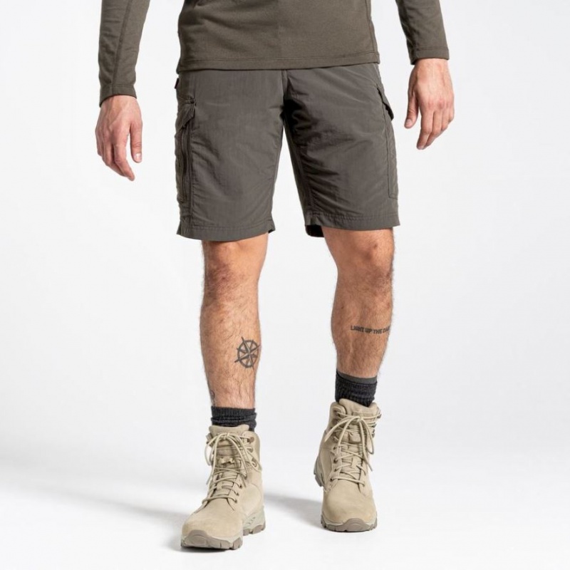 Craghoppers NosiLife Cargo II Shorts Herre Grå | 6718CNOWB