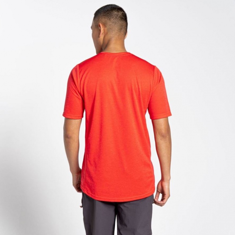 Craghoppers NosiLife Pro Active Kort Sleeve T-skjorte Herre Rød | 0641QEHPN