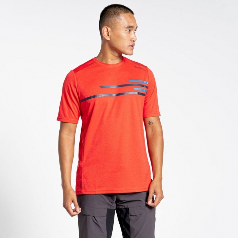 Craghoppers NosiLife Pro Active Kort Sleeve T-skjorte Herre Rød | 0641QEHPN