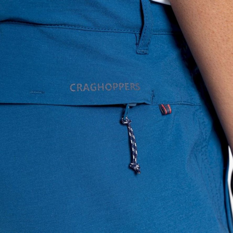 Craghoppers NosiLife Pro Active Shorts Herre Blå | 4586VETCI