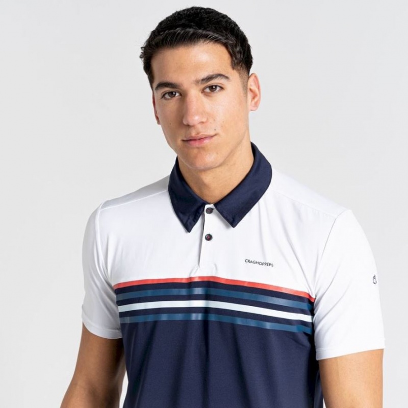 Craghoppers NosiLife Pro Kort Sleeve Polo T-skjorte Herre Multicolor | 8026STHDY