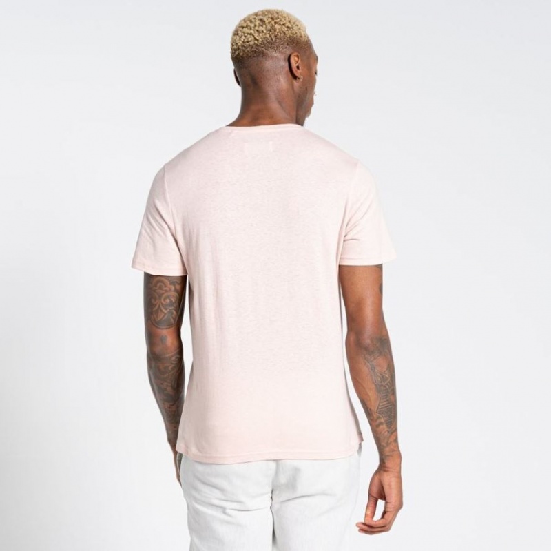 Craghoppers Nosibotanical Sten Kort Sleeve T-skjorte Herre Rosa | 7218AYCJL