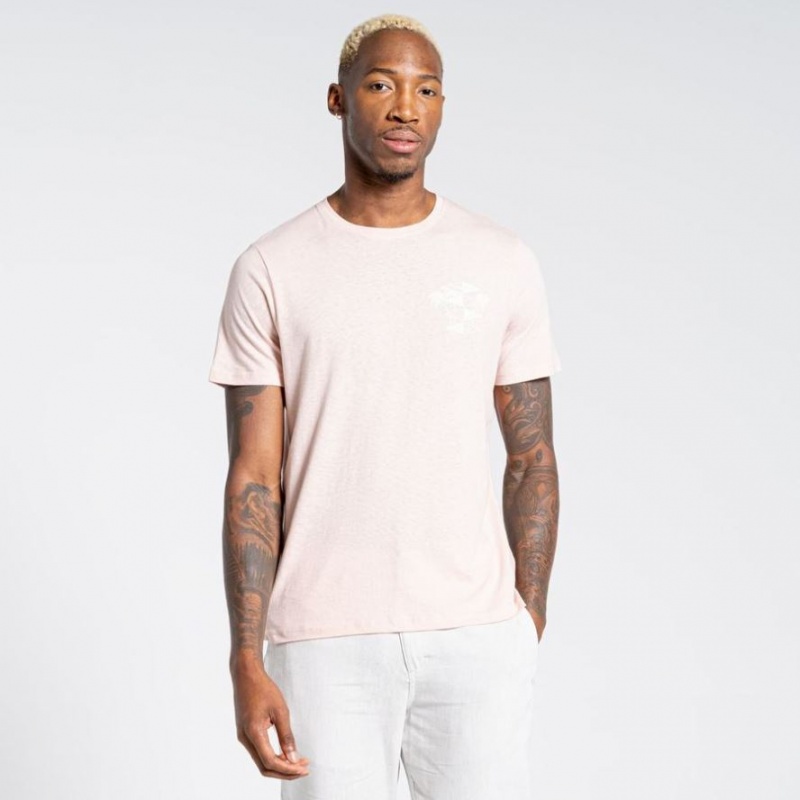 Craghoppers Nosibotanical Sten Kort Sleeve T-skjorte Herre Rosa | 7218AYCJL