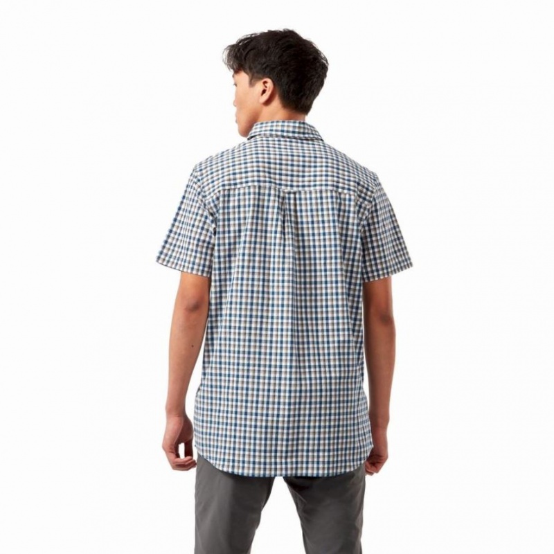 Craghoppers Nour Kort Sleeve Check Skjorte Herre Marineblå | 6019ULWZK